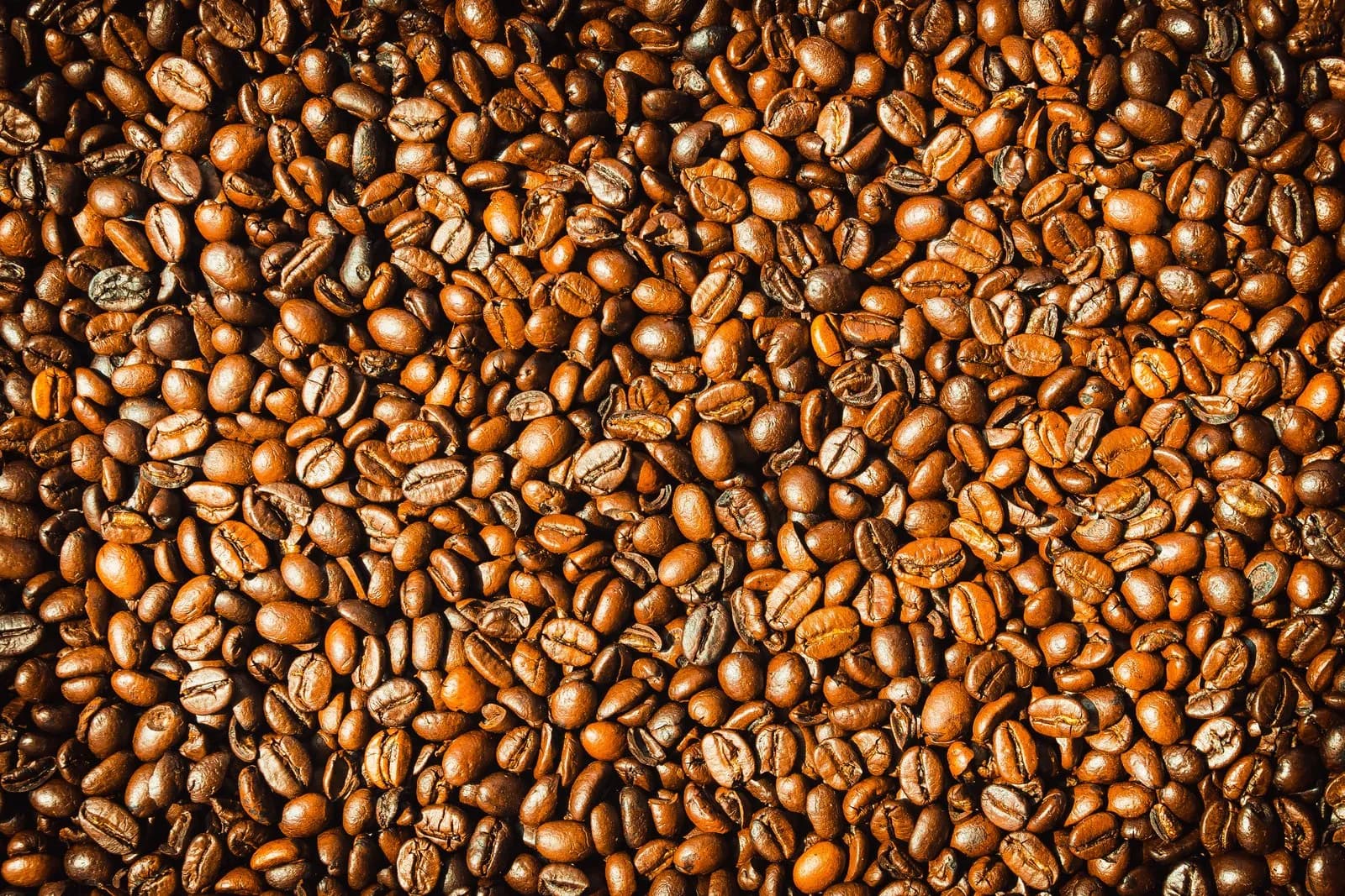 Ripe Bourbon coffee cherries