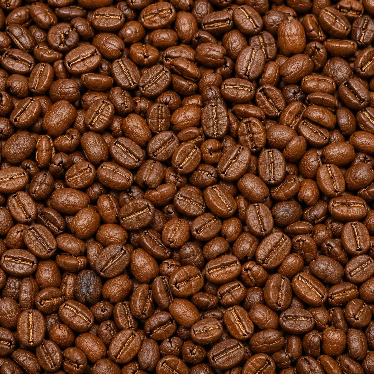 Unwashed Robusta Cherry AA beans